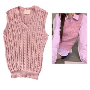 Pendleton 100% Virgin Wool Knit Sweater Vest in Pink Size 34
